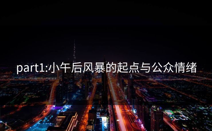 part1:小午后风暴的起点与公众情绪