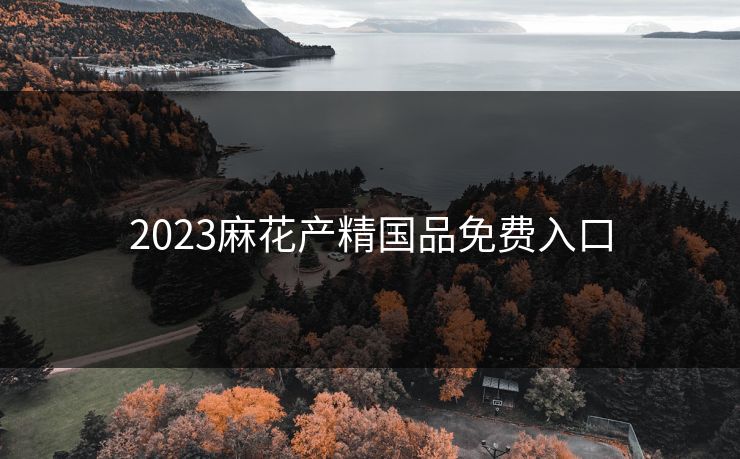 2023麻花产精国品免费入口