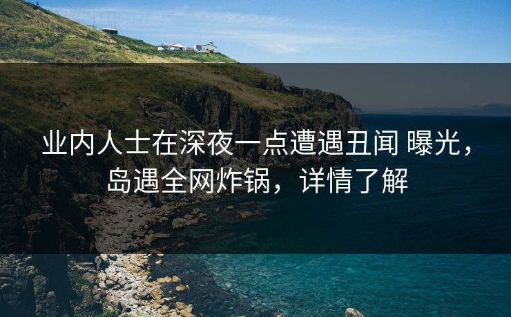 业内人士在深夜一点遭遇丑闻 曝光，岛遇全网炸锅，详情了解