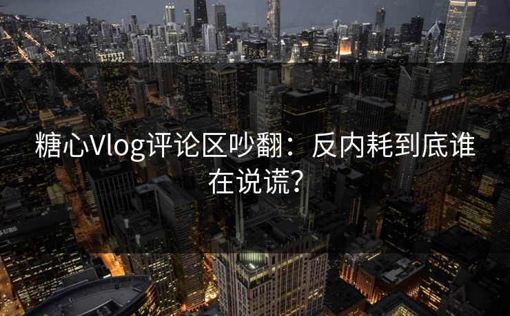 糖心Vlog评论区吵翻：反内耗到底谁在说谎？