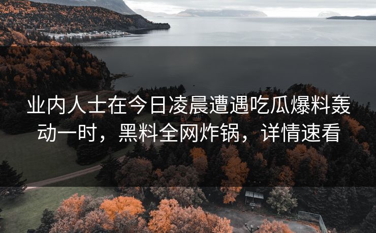业内人士在今日凌晨遭遇吃瓜爆料轰动一时，黑料全网炸锅，详情速看