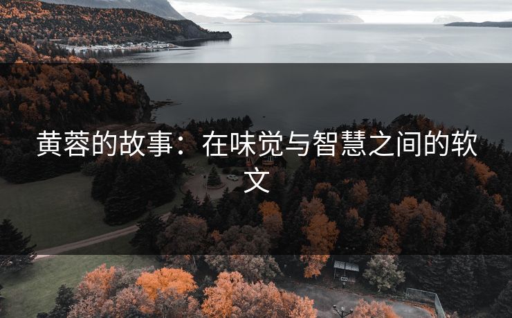 黄蓉的故事：在味觉与智慧之间的软文