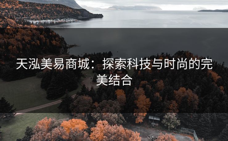 天泓美易商城：探索科技与时尚的完美结合