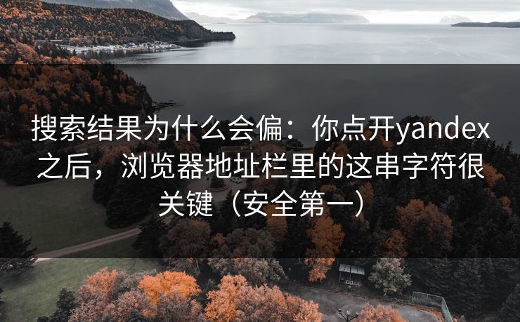 搜索结果为什么会偏:你点开yandex之后,浏览器地址栏里的这串字符很关键(安全第一)